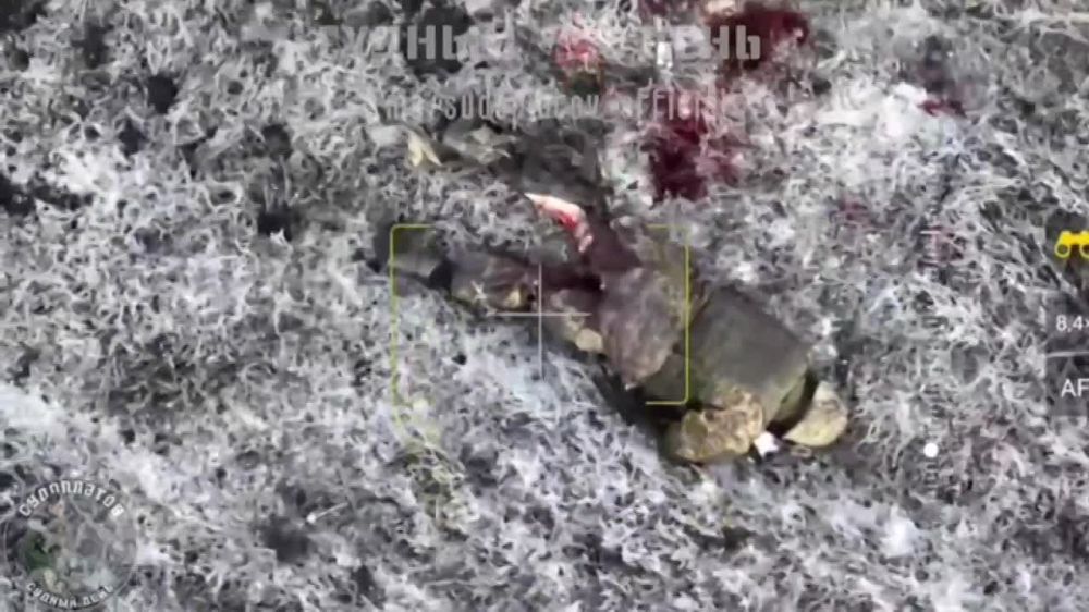 �������� �������� ��� � �����