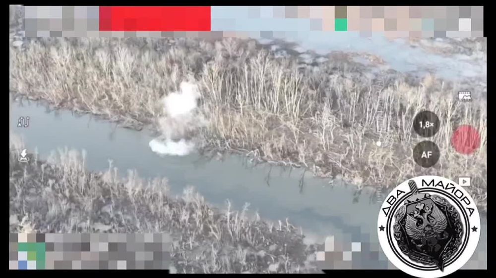 ��� ������: ���������� �������, � ������ ������