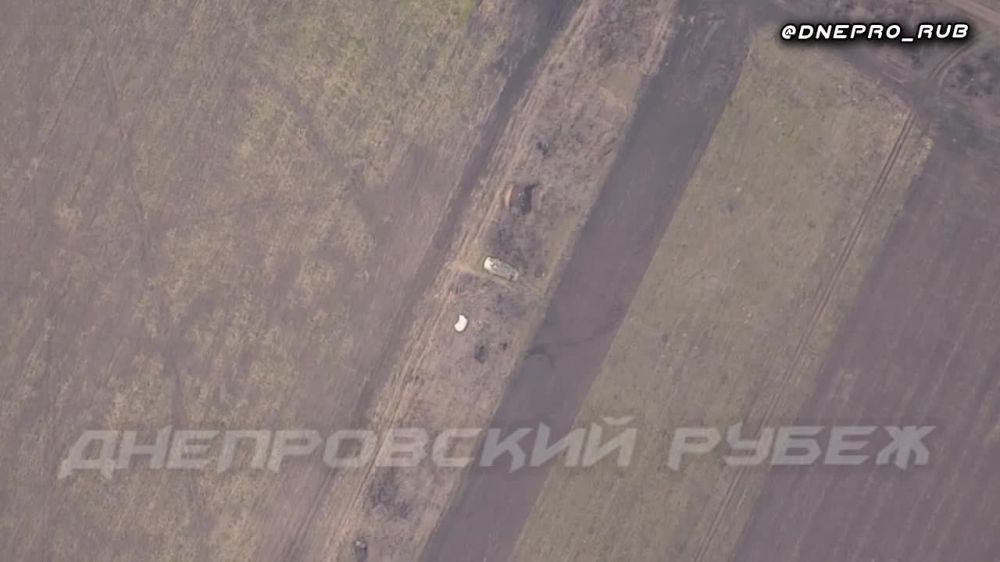 ����������� ����� "�����". ���������� �����������