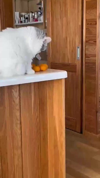 ������, ����� ������ ������������� �� �������