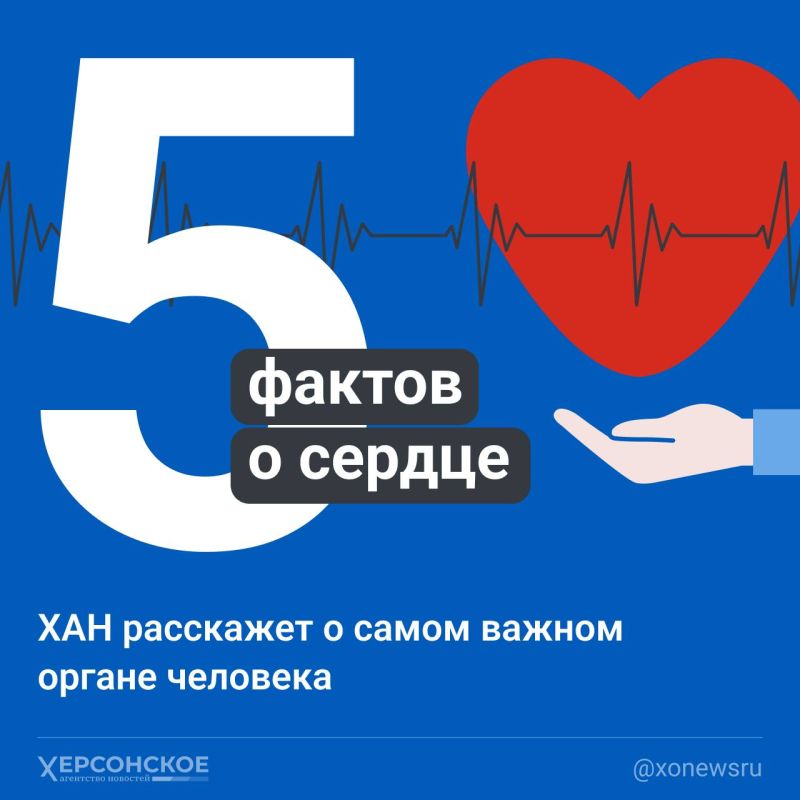 ������� ������ � ������, ������ ������, ������� �������� �� �������������� � ��������� � �� ������ ������ � ���