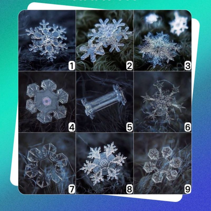 �������� � �������������. �������� ������������� �������� � �������, ��� ��� ���� � ����� ����: ������� ����� ��������, �...