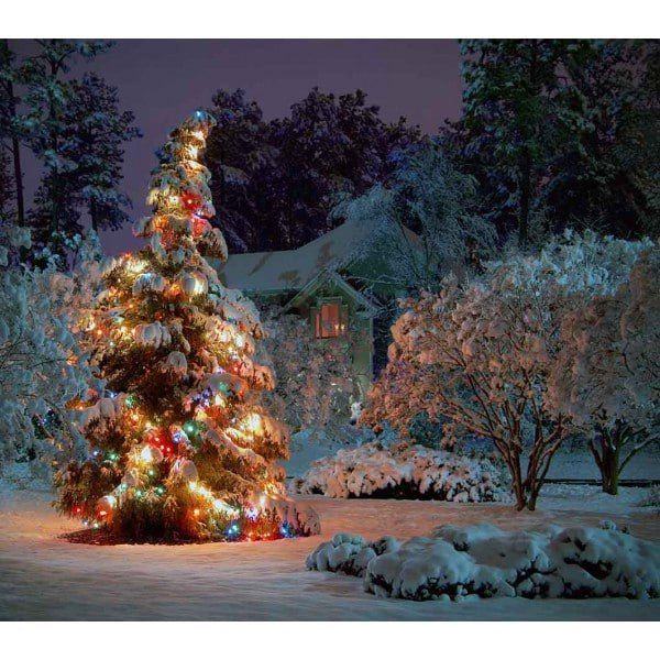 ���� ������� ������, ������!