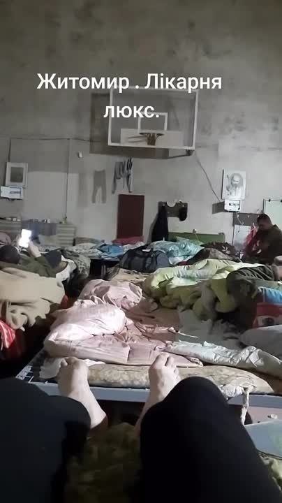 ������ 2024. �������, �������