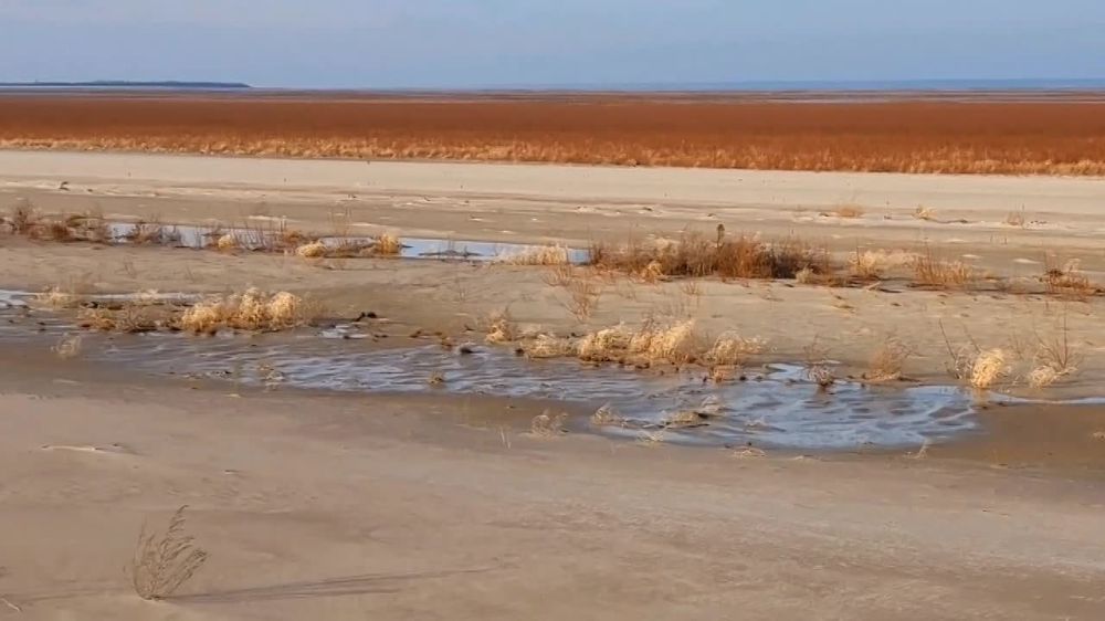 ������� �������: �� ������ �� �������-����������� ������������ �� ������ ���������� �������������