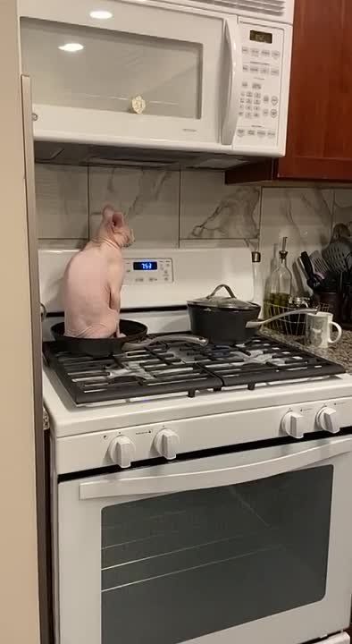 ��� �� ������ � ��������� � �����������������?! � �������� ����� � ������ ��������� �����