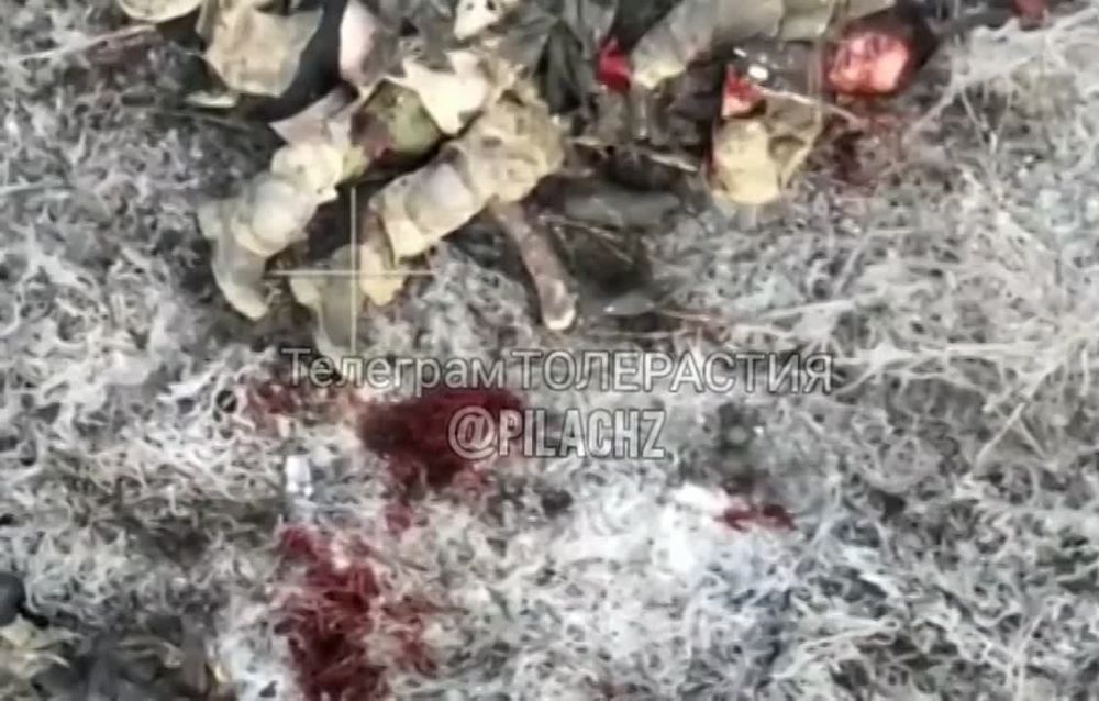 ����� ������ ������ ��������� ���������