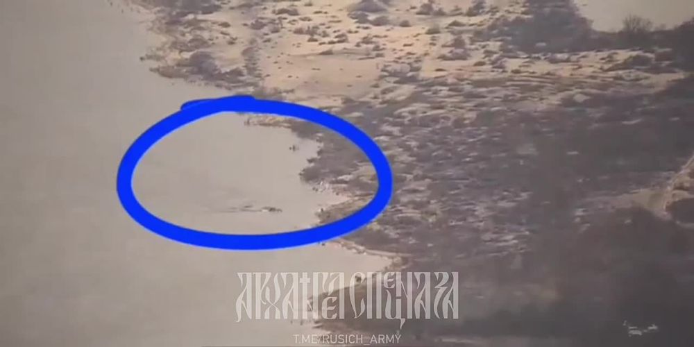 ���������� �����������