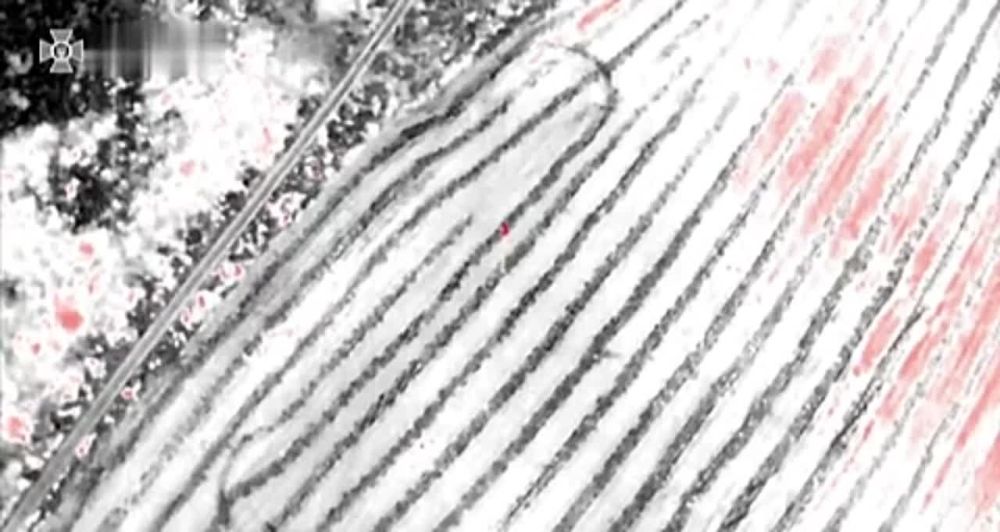 ����������� ����� ������ ���������� ������������� �� ���������, ������� ����� ���������� � ��������, ����� �������� �����������