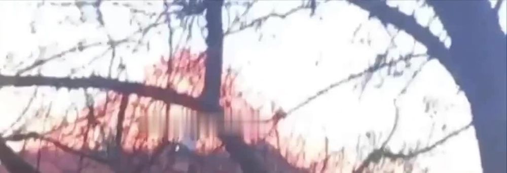 � ������� �������