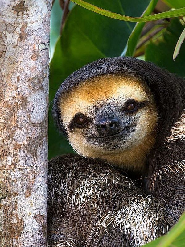 �������� �������� ��� ������ � ��������