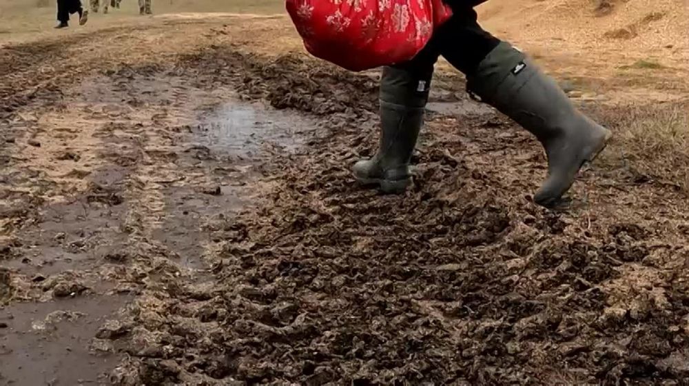 �������� �������� � ��������� ���������� ������ ��������� ���������� � ������� � ������������ ��������� � ���� ���