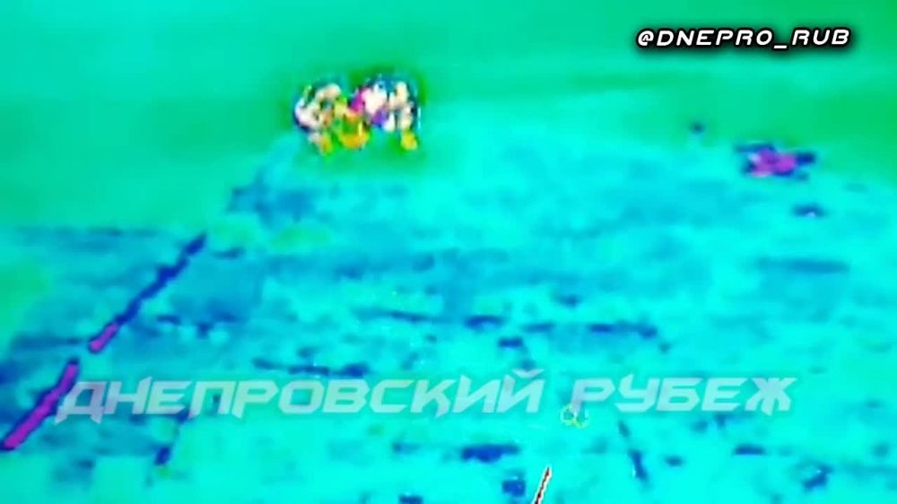 ����� �����: ����������� ����� "�����". ���������� �����������