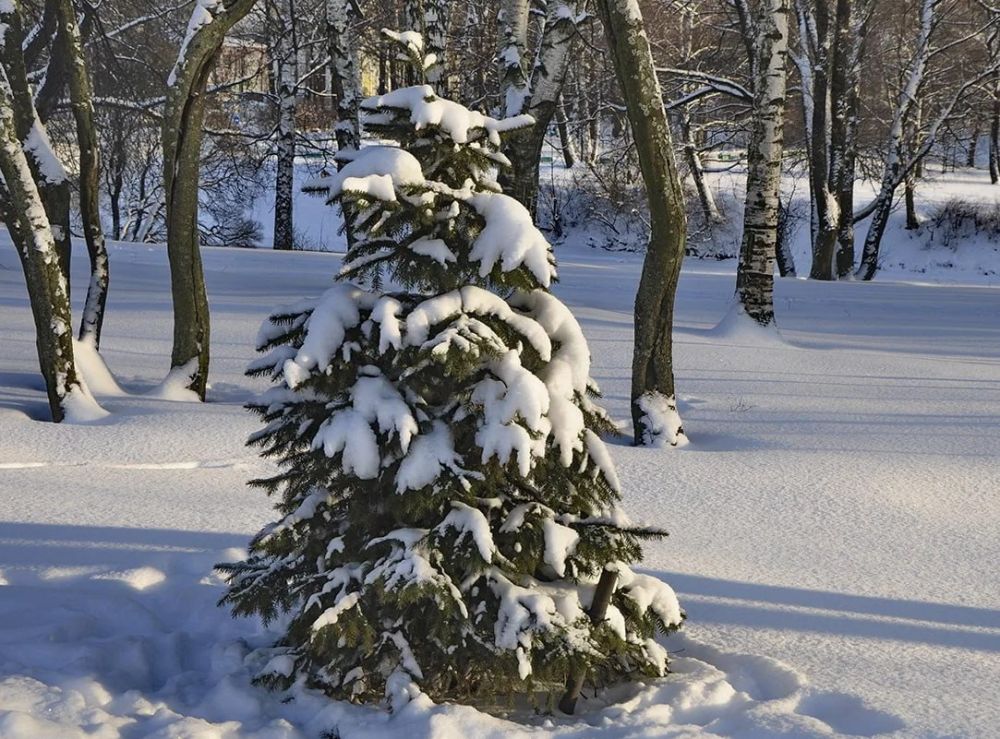 ������ ���:. ������� - ����� ������� ������� �� ����� ���������� ������� ��, ��� ��� ����� �� ��� ����, ����� ���������, �������� ���� � ������� �����