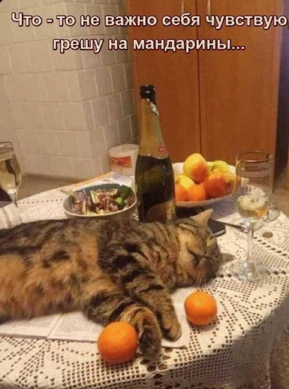 � ��� �� ��� � �����������, ��� ��� �������� ��������� �� �������� � �����������