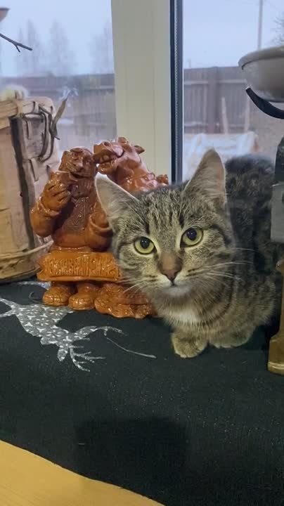 � ������ �����, �����������!