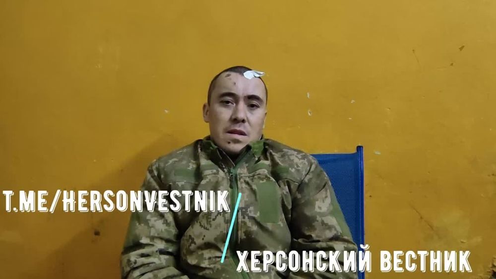 #���������. �������, ������� ������ �����! ������ �� 36 ��������� ������� ������� ������, �������� ������� ����������