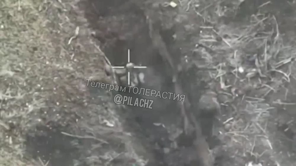 ����� ������ ������� ����� ��� ����-���������, � ����� ���������� �� �����