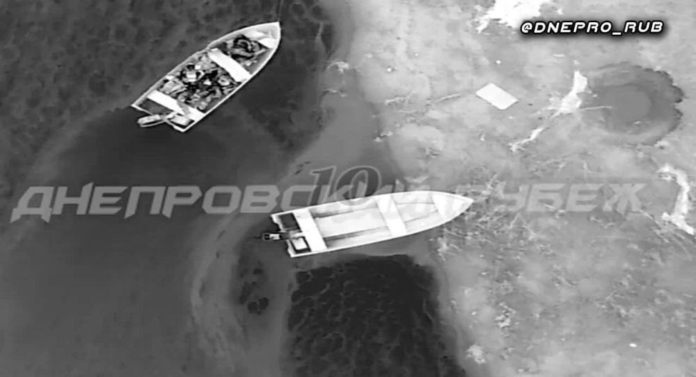 ����������� ����� "�����". ���������� �����������