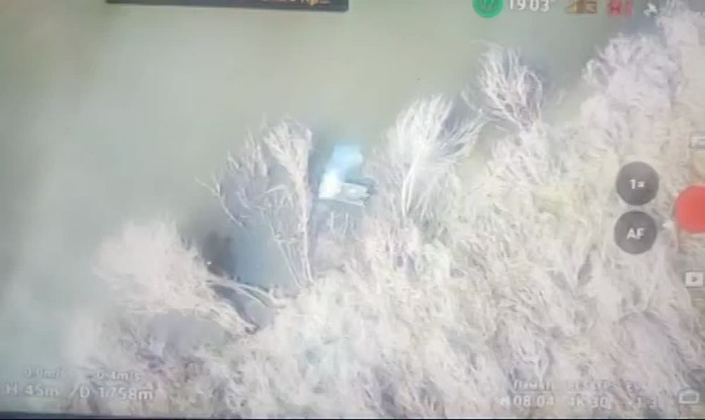 ��� ������: ���������� �����������. ����� ����������� � ���������������� ����� � ������ ������� ��� � ���� ������������� ��������� ����������� ������������ ��� ������ ������ � �������