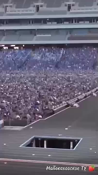 #������������