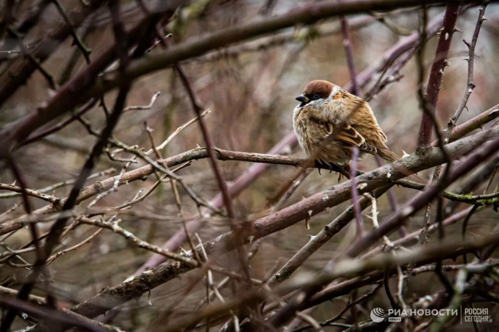 ������ �� ����� ����������� ������