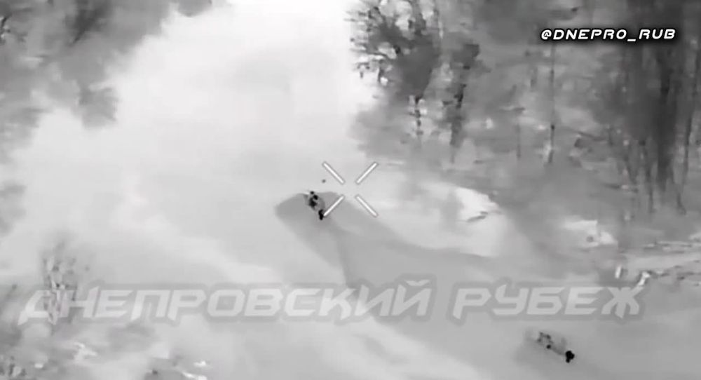 ����������� ����� "�����". ���������� �����������