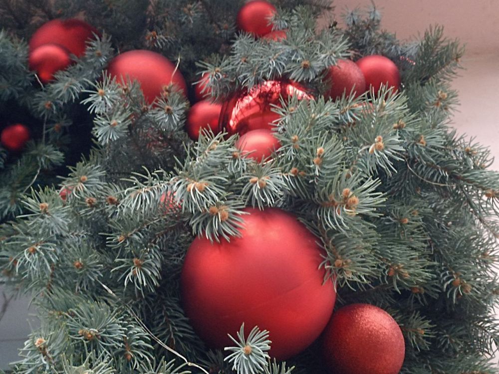 ����������� ���������� ���������