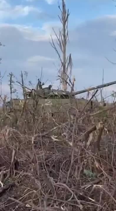 ���������� ��������������� Roshel Senator, ������������, ����������������, ���������� �� �����