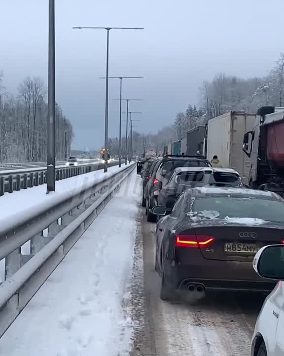 �� ������ �-11 ����� (������������ �����) ��������� �������� ������������ � �������� ����� 50 �����������, ���� ��������, �������� ���������� ������������ ������� �������