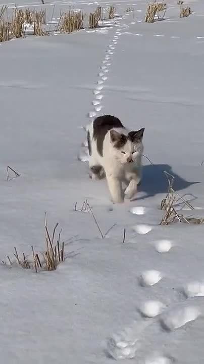 ������� ��� ������.. ������ ����� ����������� ��������