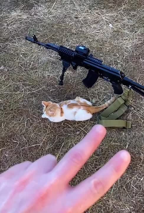 ����� ������: � ������� � ������������ ������� ���������� �������)