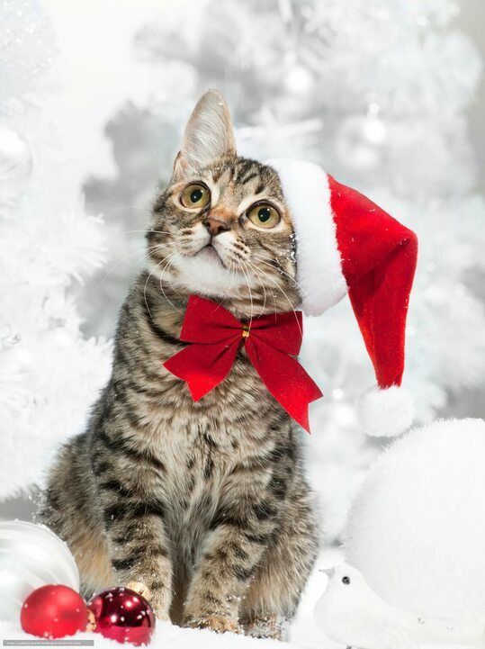 ������ ����. ������� �� ���������� ����� ��� ������ � ������� ����� ���������. ����� ��������� ������� �����, ���� - ����, ������� � ������ ������ ��� �������. ����������� �� -6 ����� �� +5 ����