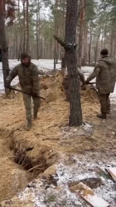 ��� ������ ���������� ������ ���������� � ���������� ��������� ����������