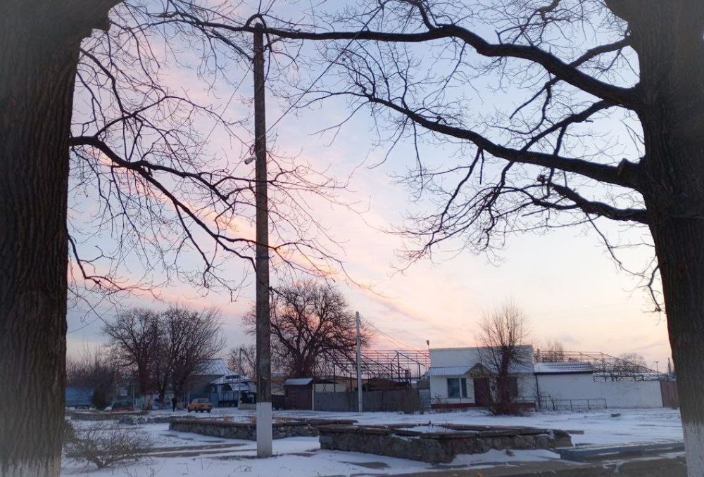 ����� ���� ������� ������� ���� � �����������