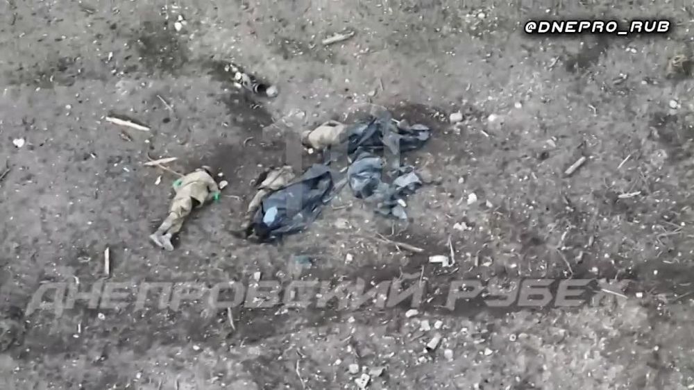 ����������� ����� "�����". ���������� �����������