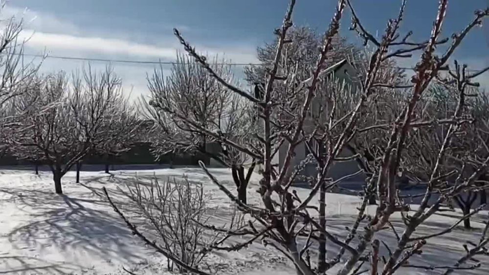 ������ ��������� ���� ������ ��������