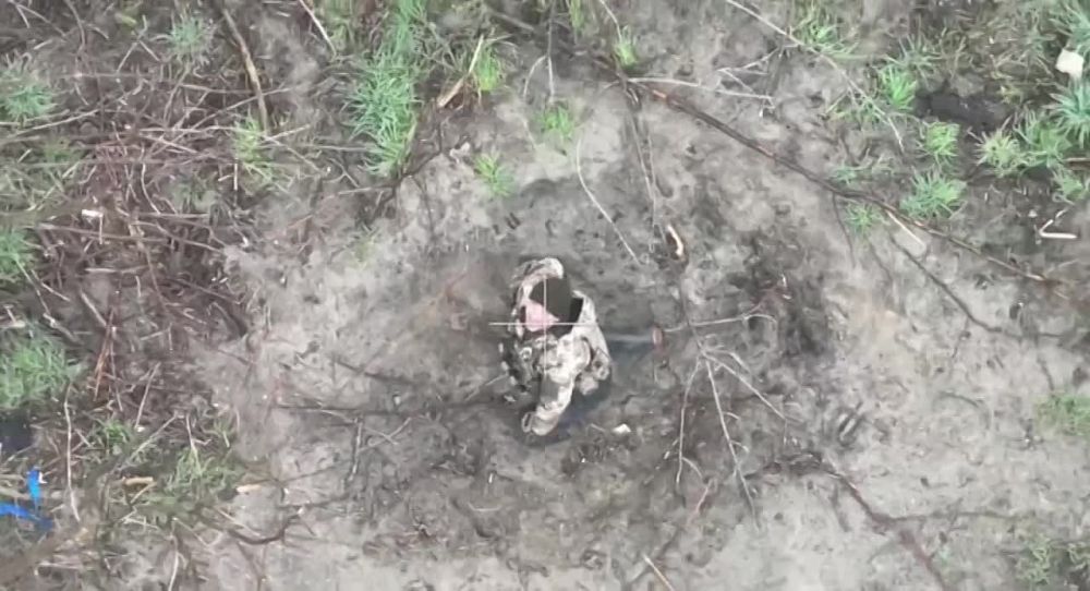 ������.. ������ �������?