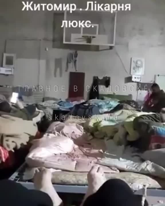 �� ���������� �������� ����� ������ �������� ������� ������������ � �������� ��������, � ����� �������� �� �����