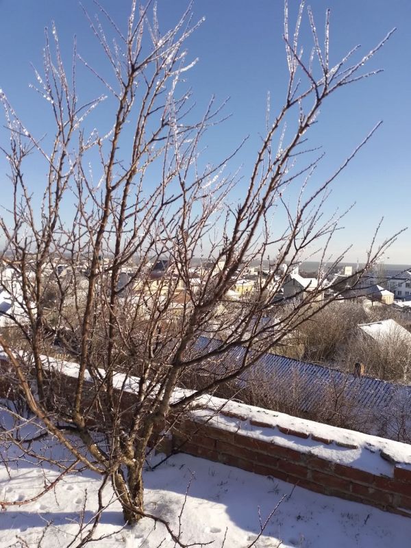 ����������� ��������. �������������� ������