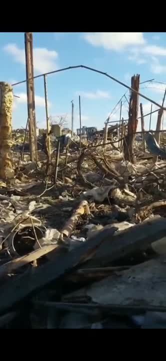 ���������� �����������, ������