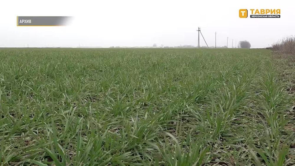 ������� ���������� ����� �������� 9 ��������� ��� ��������������� ���������