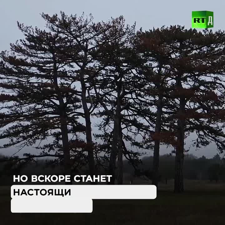 ��� ���������� ���� ���������� ����������� � ��������� ��������� �������������� � ������� ������ ���������