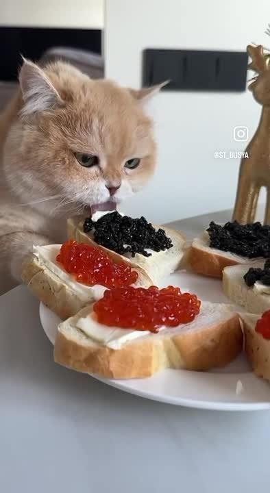 � ������ �����, �����������!