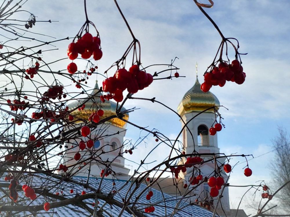 ���������� ������ �������: ����������� ������� ������� �������