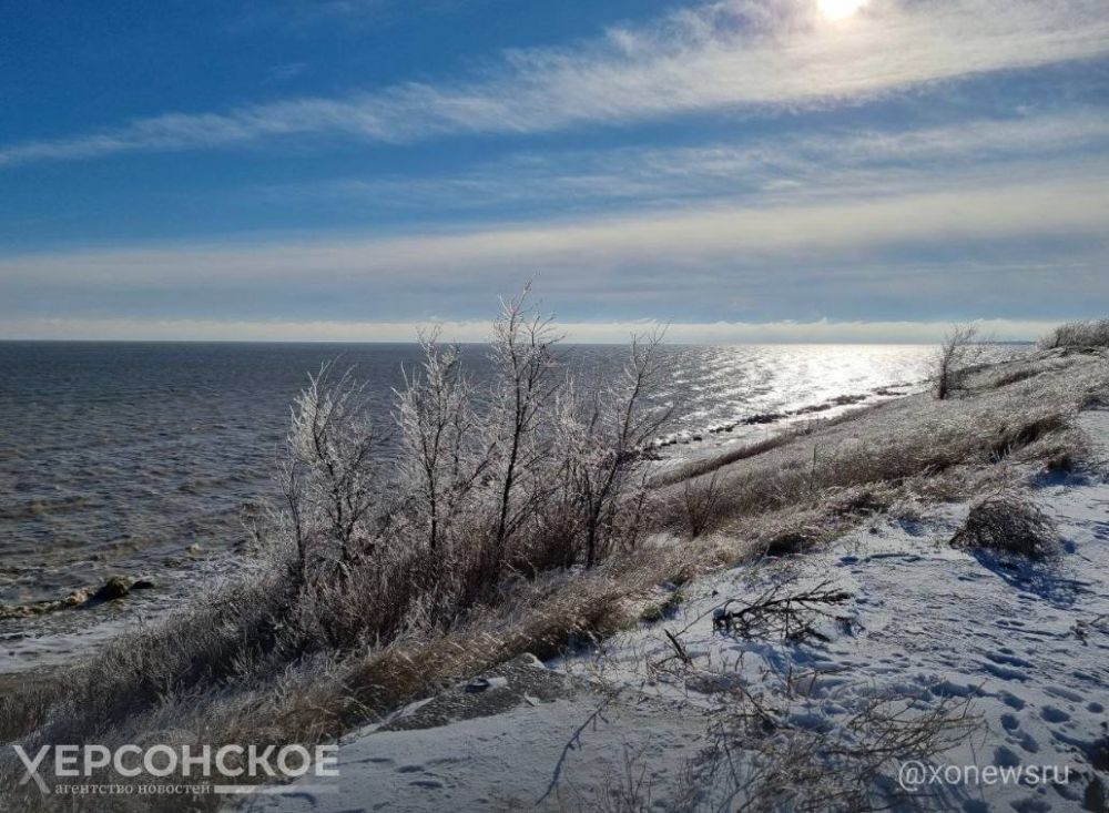 ��� ����� ����� ��� "�����������" ������� �������� �������� �� ���������� ���������