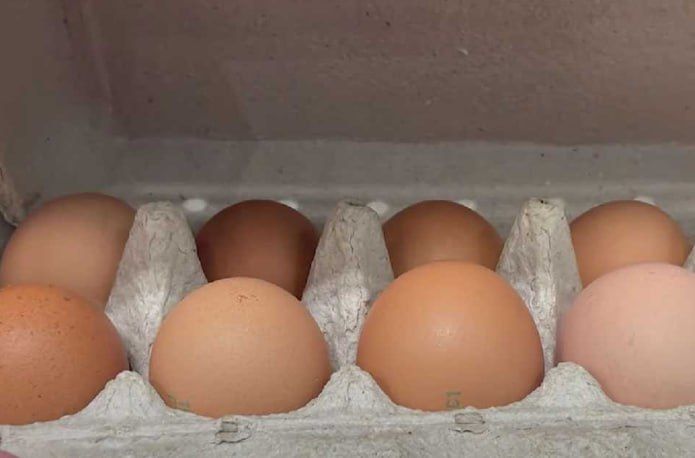 ������ ������ ��� �� ������ � ���������� 316,8 ���. ���� ������� � ������ ����� ����� �������� "����-��������", ������� ����������������