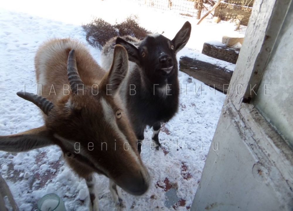 ��������� �������� � ��������� ��������� ������� ����� �������� �������