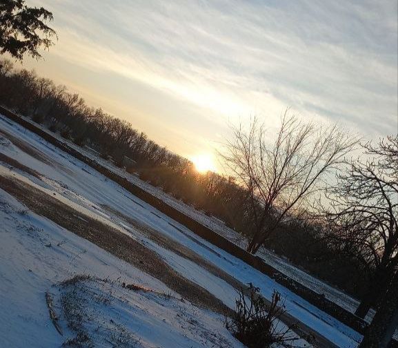 �������� ���� ����������� ������� ��������� ��������