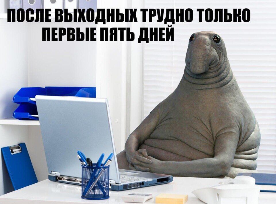 ��� ��������� � ������ ����� ����������